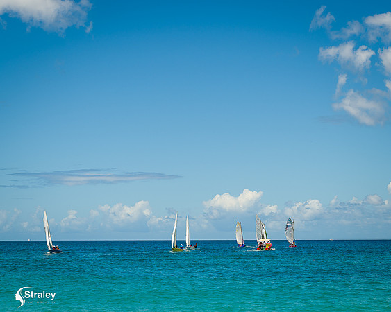 Grenada workboat competition 2023  2023  02 25 - 0181