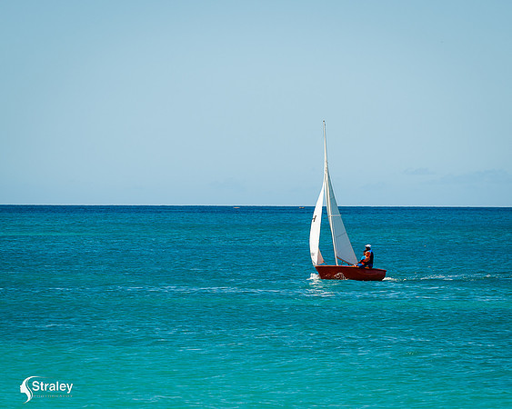 Grenada workboat competition 2023  2023  02 25 - 0189