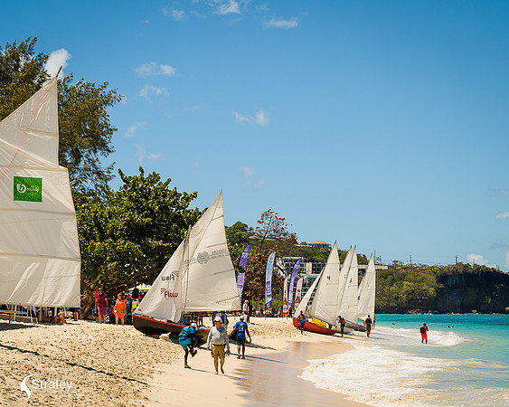 Grenada workboat competition 2023  2023  02 25 - 0194