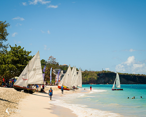 Grenada workboat competition 2023  2023  02 25 - 0195