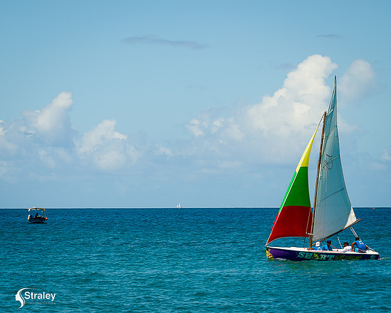 Grenada workboat competition 2023  2023  02 25 - 0196