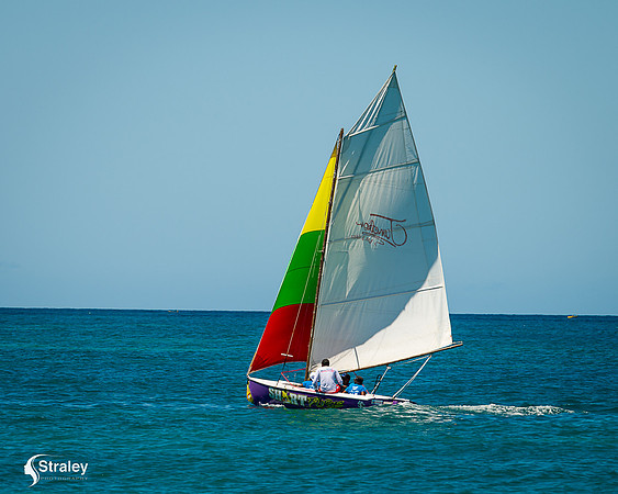Grenada workboat competition 2023  2023  02 25 - 0197