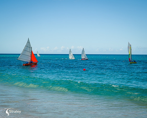 Grenada workboat competition 2023  2023  02 25 - 0205