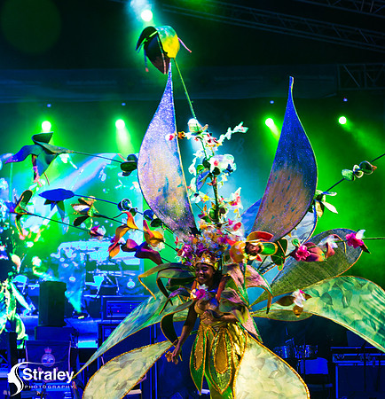 King and Queen of the Bands - 2018 08 13 - 0186