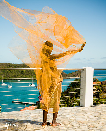 Amica Charles 2023  02 27 - 0633 - BTS
