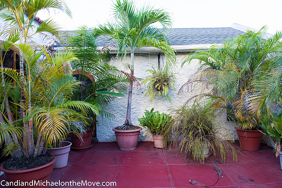 Grenada house images 2015 09 - 0074