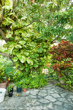 Grenada house images 2015 09 - 0084