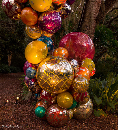 Chihuly at Fairchild Gardens  2015 01 08 - 0101