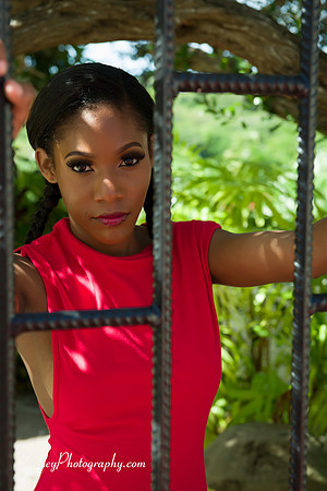 Brithney Mitchell 2015 12 22 - 403