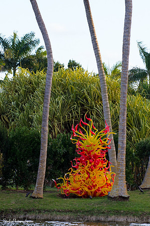Chihuly at Fairchild Gardens  2015 01 08 - 0026