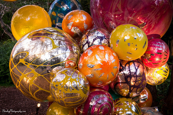 Chihuly at Fairchild Gardens  2015 01 08 - 0104