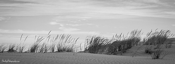 Jockeys Ridge  - 2014 10 24 - 0063