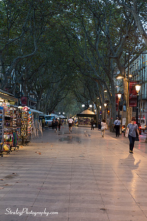 Barcelona 2013 10 04 - 0041