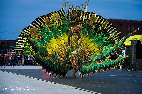 Toronto Carnival  2016 07 29 - 0310