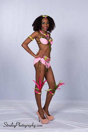 Summer Crew Costume 1- 2016 03 16 - 0419