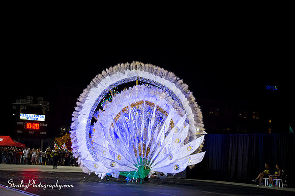 Toronto Carnival  2016 07 29 - 0870