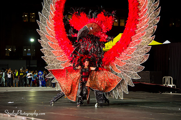 Toronto Carnival  2016 07 29 - 0624