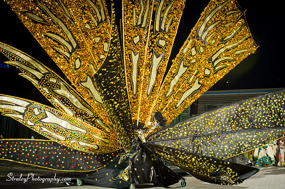 Toronto Carnival  2016 07 29 - 1081