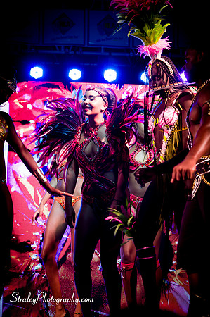Spicemas Launch 2016 04 02 - 0224