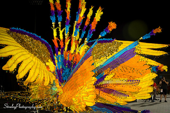 Toronto Carnival  2016 07 29 - 0754