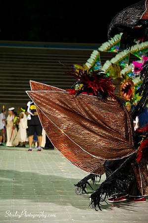 Toronto Carnival  2016 07 29 - 0615