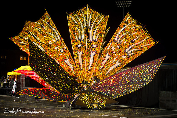 Toronto Carnival  2016 07 29 - 1083