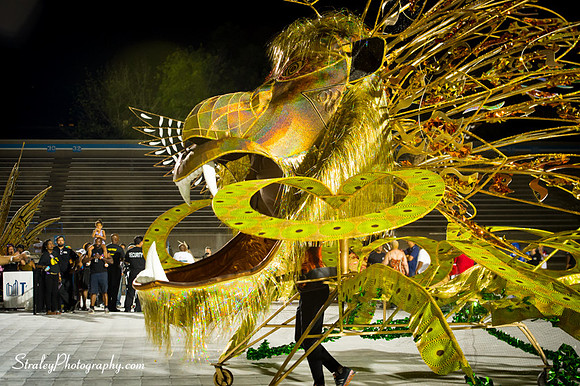 Toronto Carnival  2016 07 29 - 0979