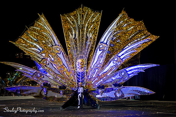 Toronto Carnival  2016 07 29 - 1095