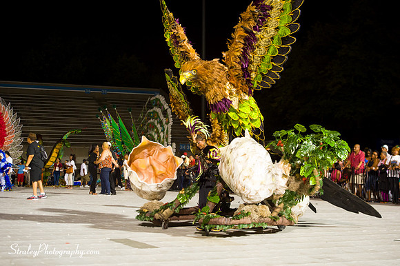 Toronto Carnival  2016 07 29 - 0576