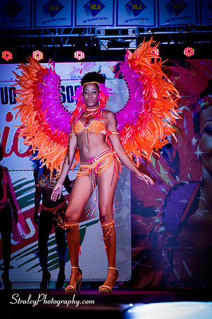 Spicemas Launch 2016 04 02 - 0256