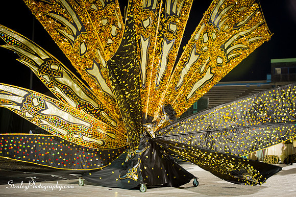 Toronto Carnival  2016 07 29 - 1080