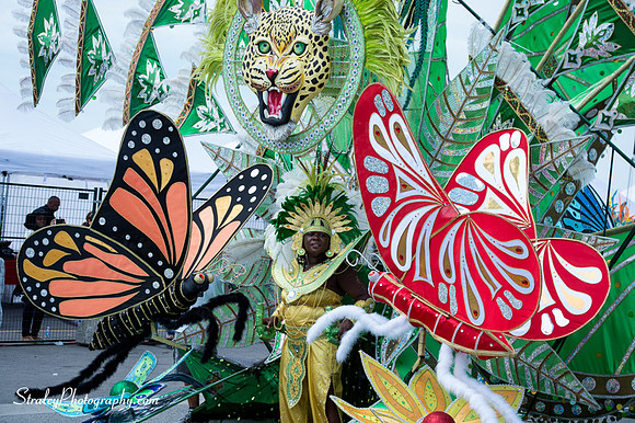 Toronto Carnival 2016 07 30 - 0067