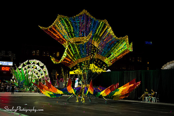 Toronto Carnival  2016 07 29 - 0734