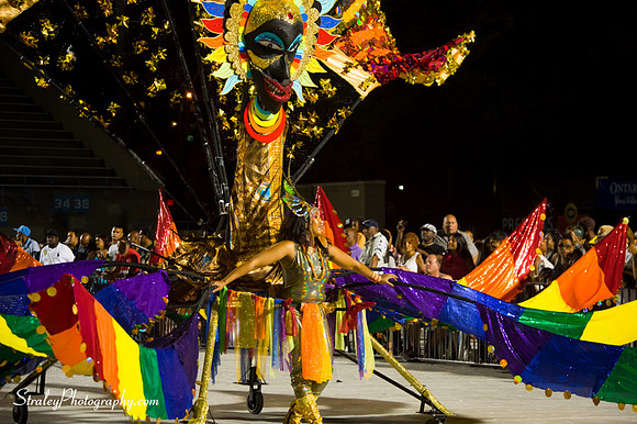 Toronto Carnival  2016 07 29 - 0712