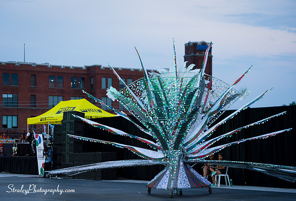 Toronto Carnival  2016 07 29 - 0220