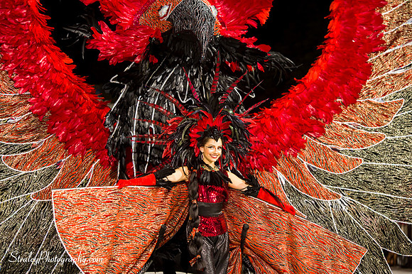 Toronto Carnival  2016 07 29 - 0608