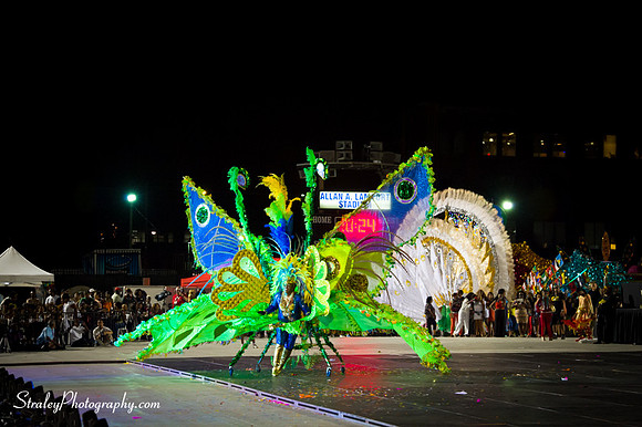 Toronto Carnival  2016 07 29 - 0908