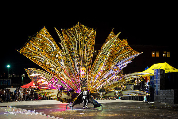 Toronto Carnival  2016 07 29 - 1124