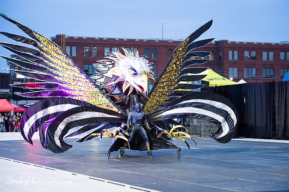 Toronto Carnival  2016 07 29 - 0338