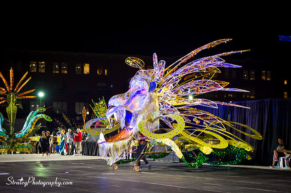 Toronto Carnival  2016 07 29 - 0988
