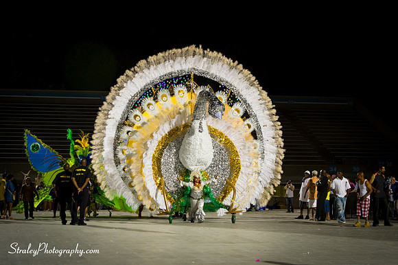 Toronto Carnival  2016 07 29 - 0822