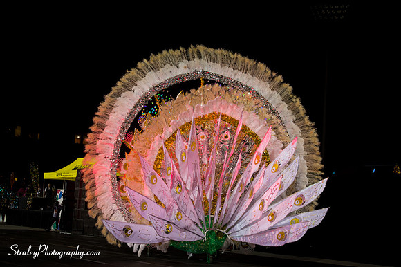 Toronto Carnival  2016 07 29 - 0865