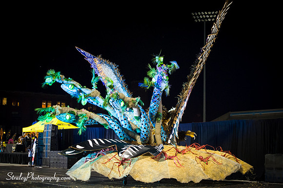 Toronto Carnival  2016 07 29 - 1046
