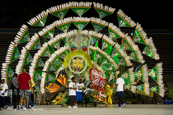 Toronto Carnival  2016 07 29 - 0696