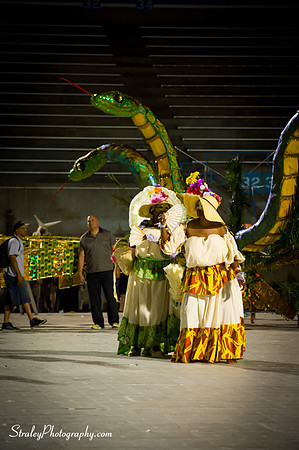 Toronto Carnival  2016 07 29 - 0915