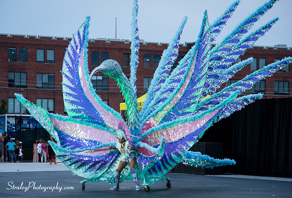 Toronto Carnival  2016 07 29 - 0152