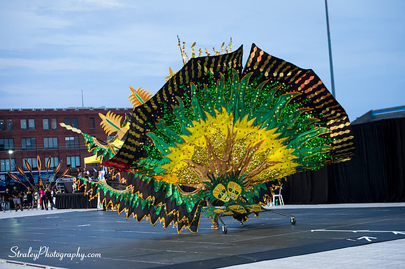 Toronto Carnival  2016 07 29 - 0298