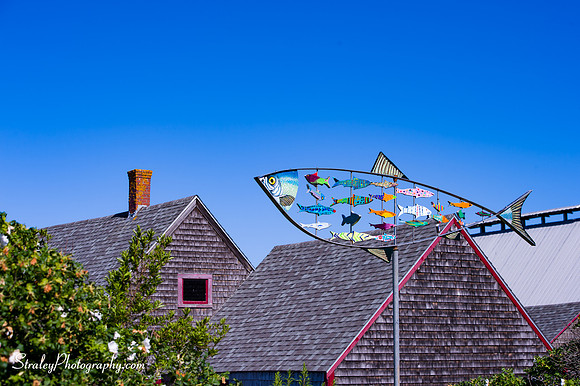 Lubec Maine 2016 07 11 - 0068