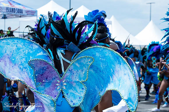 Toronto Carnival 2016 07 30 - 0132