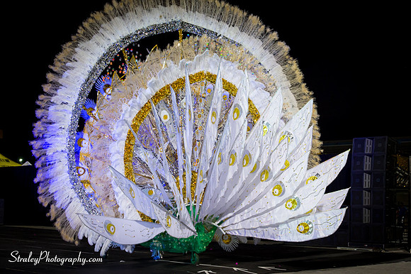 Toronto Carnival  2016 07 29 - 0860